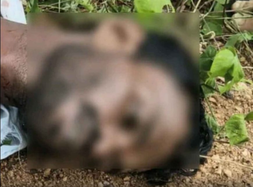 ఘోర రోడ్డు ప్రమాదం యువకుడు మృతి