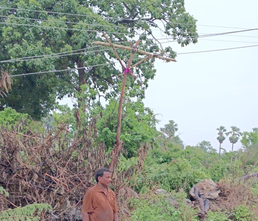 పంట పొలాల్లో ప్రమాదకరంగా విద్యుత్ తీగలు