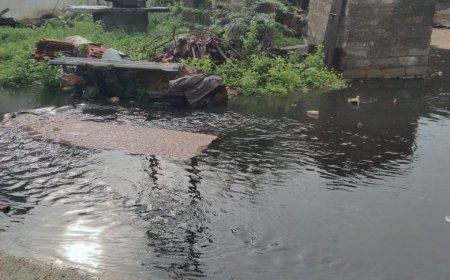 నెట్టెంపాడులో డ్రైనేజీ వ్యవస్థ అస్తవ్యస్తం