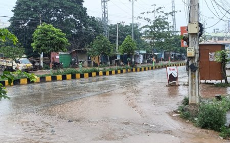 మళ్లీ మొదలైన ముసురు వాన