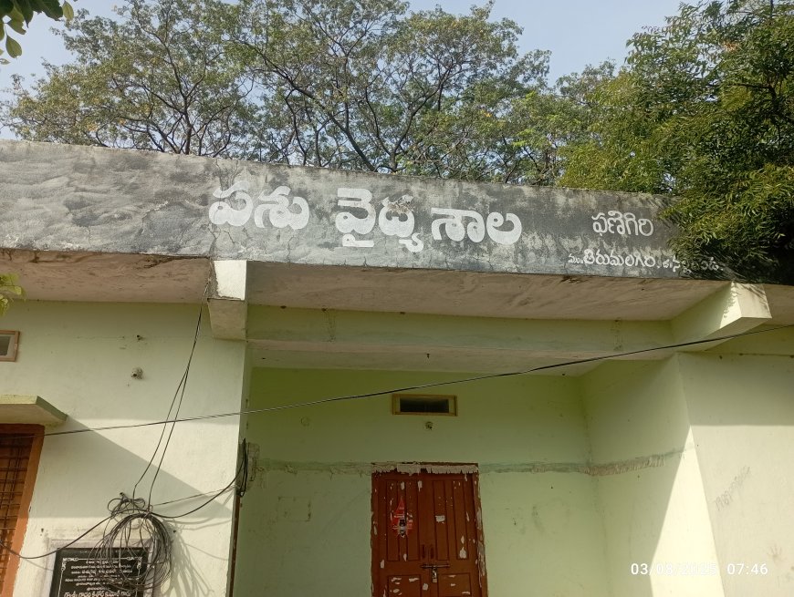 ఇది పశు వైద్యశాల లేకపోతే ???
