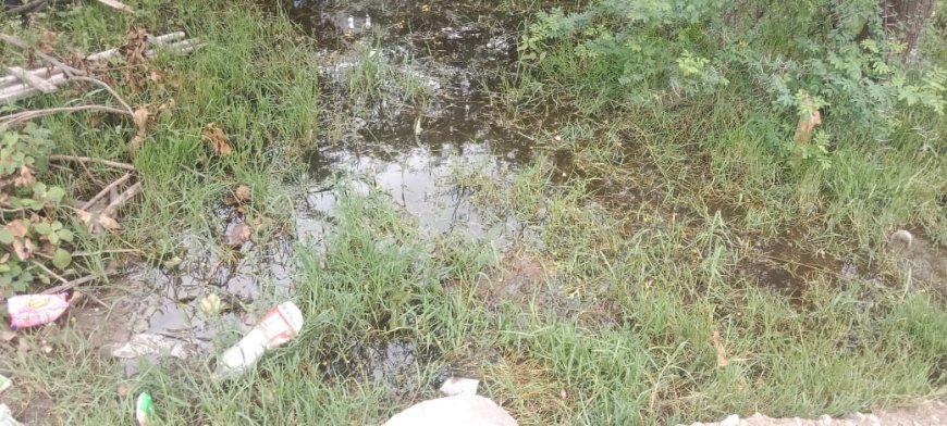 వెల్దేవి గ్రామంలో డ్రైనేజ్ మోరీ లేక ఇండ్ల మధ్యలో నిలిచిన వర్షపు నీరు