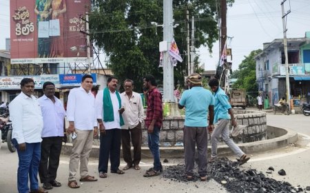 నేలకొండపల్లిలో వేగంగా సెంట్రల్ లైటింగ్ పనులు""మార్కెట్ కమిటీ చైర్మన్ వెన్నుపూసల