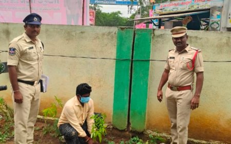 కోర్టు వినూత్న నిర్ణయం: సామాజిక సేవ రూపంలో శిక్ష అమలు