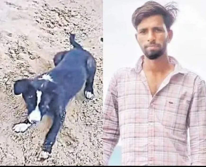 కుక్క గోరు గుచ్చుకుని యువకుడు మృతి