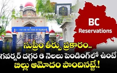 సుప్రీం తీర్పు ప్రకారం గవర్నర్ దగ్గర 6 నెలలు పెండింగ్ లో ఉంటే బిల్లు ఆమోదం పొందినట్టే