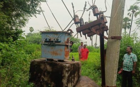 విద్యుత్ షాక్ తో గేదె మృతి