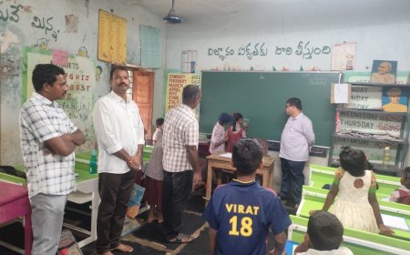 పెద్దదొడ్డి ప్రాథమిక పాఠశాలను సందర్శించిన ఆడిషనల్ కలెక్టర్