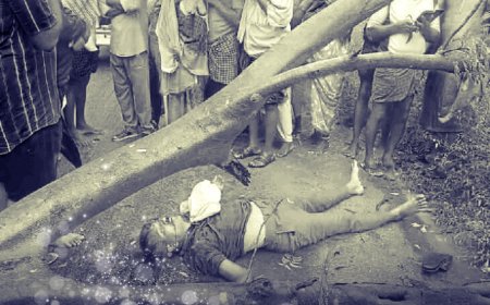 చెట్టు మీద పడి వ్యక్తి మృతి