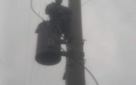 విద్యుత్ లైన్మెన్ సేవలు అమూల్యం