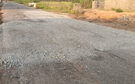 కలెక్టర్ చొరవ తో రోడ్డు మరమ్మత్తు పనులు