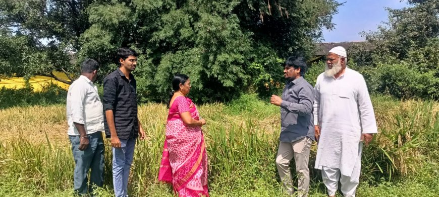 మొగిలిగిద్దలో పంట నష్టం అంచనా    రంగారెడ్డి జిల్లా వ్యవసాయ అధికారి ఉషా 