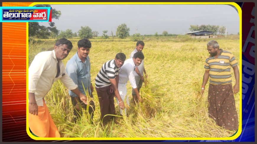 వర్షాలకు దెబ్బతిన్న రైతులను ఆదుకోవాలి బిజెపి మండల అధ్యక్షుడు కుంభం కరుణాకర్