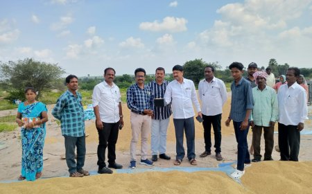 ఐకెపి కేంద్రాలను పరిశీలించిన అధికారులు