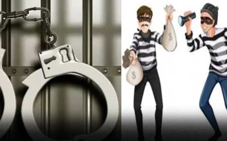 అంతర్రాష్ట్ర దొంగల ముఠా పట్టివేత