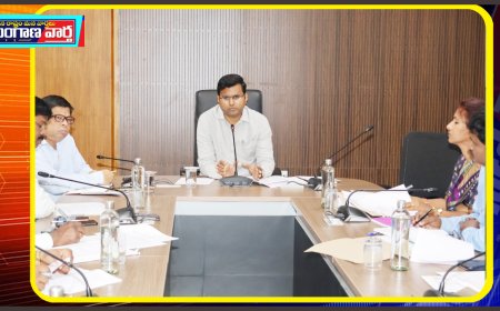 యూడైస్ వివరాలు పక్కాగా నమోదు చేయాలి కలెక్టర్