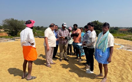 17 తేమశాతం వచ్చిన ధాన్యాన్ని కాంట నిర్వహించాలి