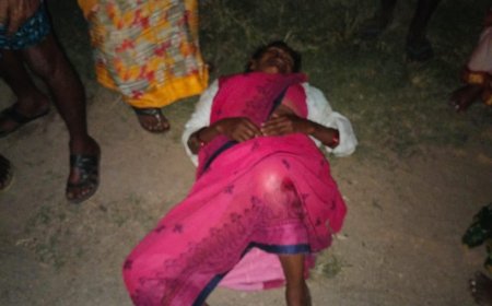 కూలీల ఆటో పల్టీ ఇద్దరు పరిస్థితి విషమం