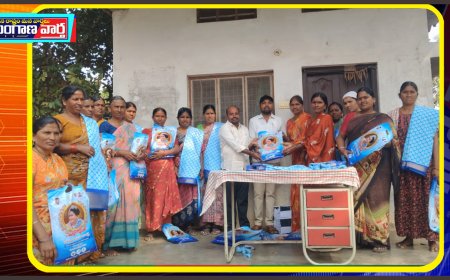 మహిళల అభ్యున్నతికి రాష్ట్ర ప్రభుత్వం కృషి