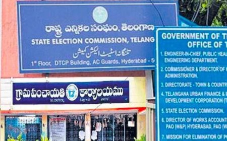 పంచాయతీ ఎన్నికలకు సిద్ధం