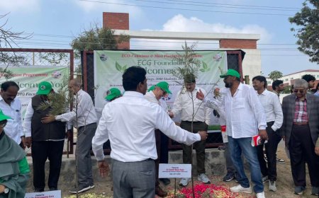 గ్రీన్ అవేర్ నెస్ మాస్ ప్లాంటేషన్ కార్యక్రమం విజయవంతం