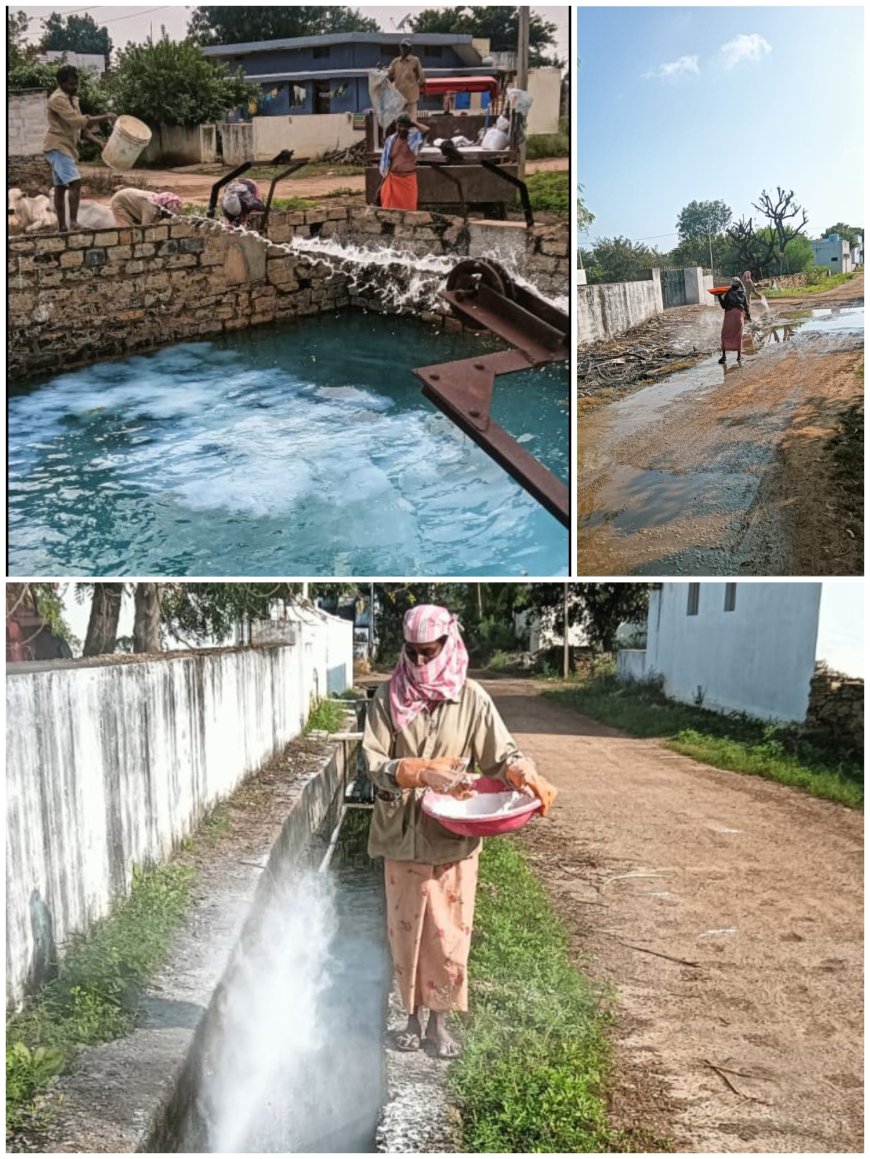 కొప్పునూరు గ్రామంలో పంచాయతీ సెక్రెటరీ ఆధ్వర్యంలో పారిశుద్ధ కార్యక్రమం