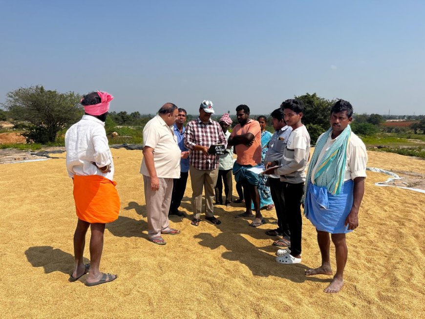 17 తేమశాతం వచ్చిన ధాన్యాన్ని కాంట నిర్వహించాలి