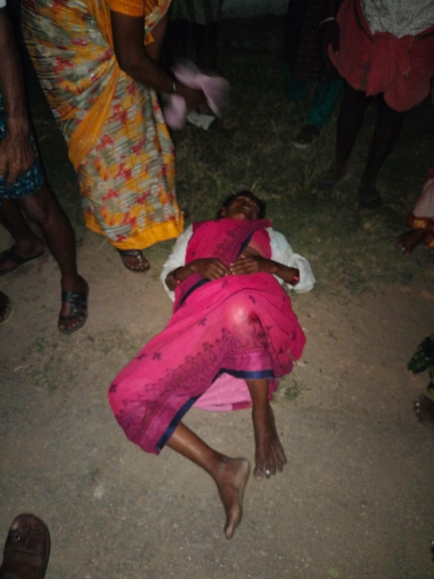 కూలీల ఆటో పల్టీ ఇద్దరు పరిస్థితి విషమం