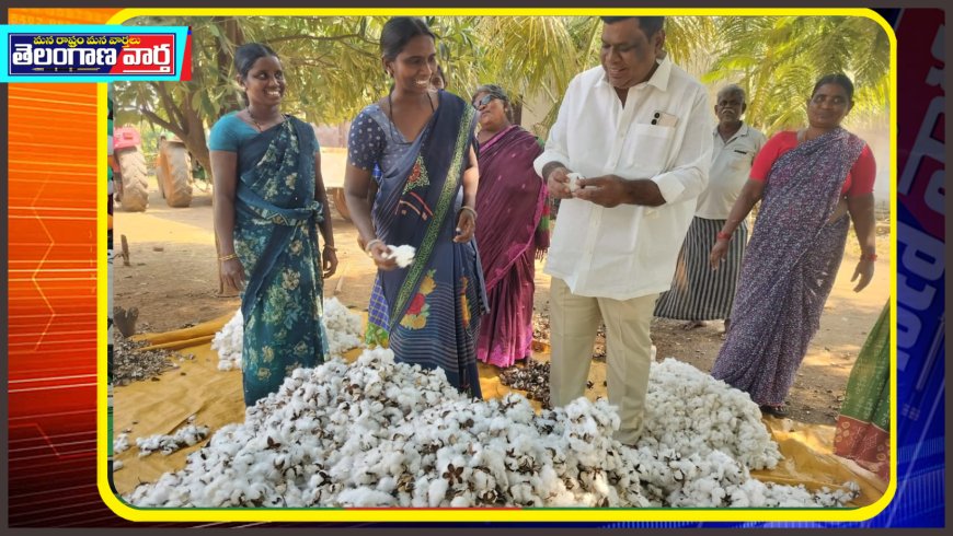 పత్తి రైతులకు పరిహారం ఇవ్వాలి. మంద శ్రీనాథ్