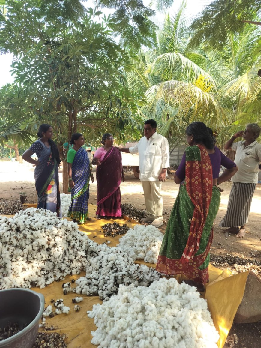 పత్తి రైతులకు పరిహారం ఇవ్వాలి. మంద శ్రీనాథ్