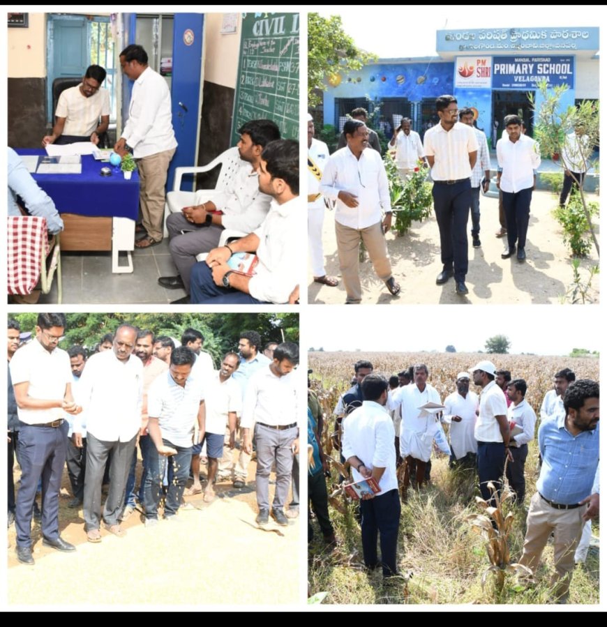 మొక్కజొన్న పంట కొనుగోళ్ల ప్రక్రియ సజావుగా నిర్వహించాలి