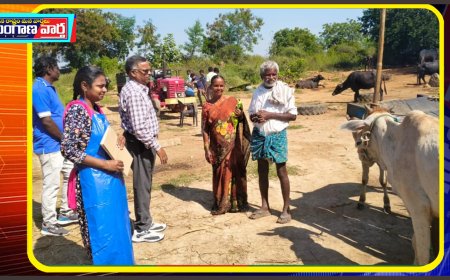 పాడి పశువులకు గర్భకోష వ్యాధుల చికిత్స శిబిరం
