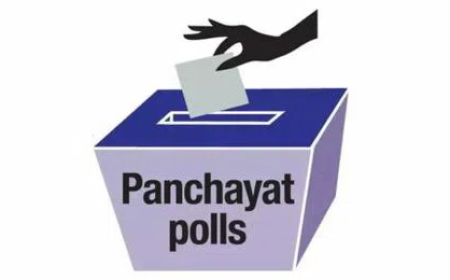 ఆత్మకూరు ఎస్ మండల పరిధిలో గ్రామపంచాయతీలో ఎన్నికల ఫలితాలు