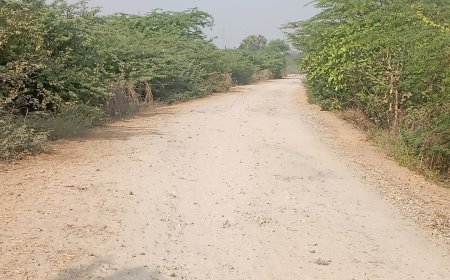 అధ్వానంగా లింకు రోడ్లు