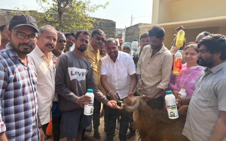 తాటిపాములలో ఉచిత నట్టల నివారణ  ప్రారంభం