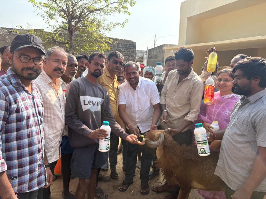 తాటిపాములలో ఉచిత నట్టల నివారణ  ప్రారంభం