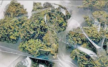 గంజాయి స్వాధీనం ...యువకుడు అరెస్ట్