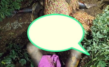 మహిళా దారుణ హత్య! పొలంలో లభ్యమైన మృతదేహం