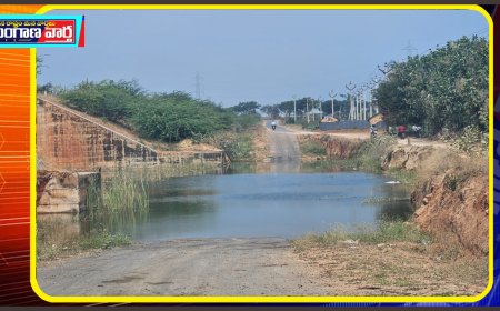 ఈ రహదారికి రాత్రి పూట వస్తే అంతే సంగతులు