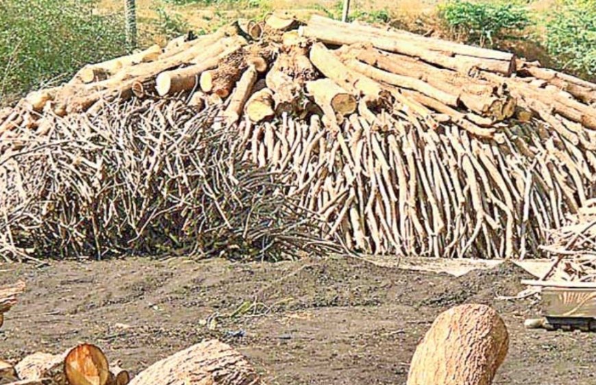 పచ్చని చెట్లు బొగ్గు పాలు...