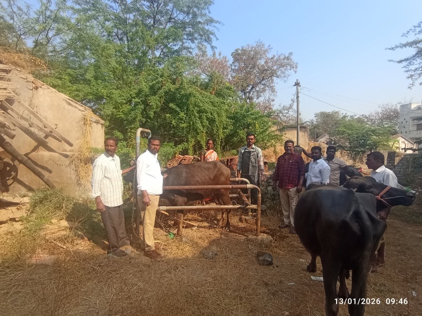 కృత్రిమ గర్భధారణ వల్ల మేలు జాతి పశువులు పొందవచ్చు