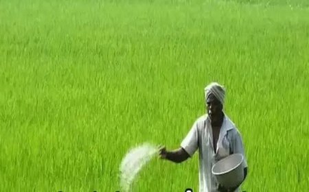 తెలంగాణ రైతులకు లోటు లేకుండా ఎరువులు.. కేంద్ర మంత్రి కీలక ప్రకటన