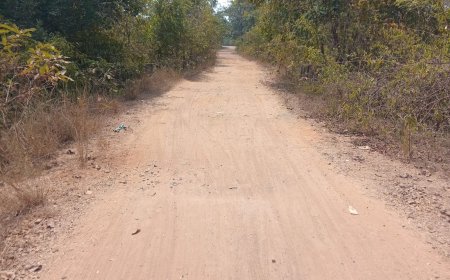 76వ స్వాత్రంత్ర భారత దేశంలో అభివృద్ధి కి నోచుకోని కంతనపల్లి ఐలపురం గ్రామలు 