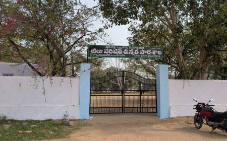 యువకులంతా ఒక్కటై. తమ స్వంత ఖర్చులతో  పాఠశాలకు రంగుల కల తెచ్చే  హర్షం వ్యక్తం చేస్తున్న విద్యార్థులు, ఉపాధ్యాయులు