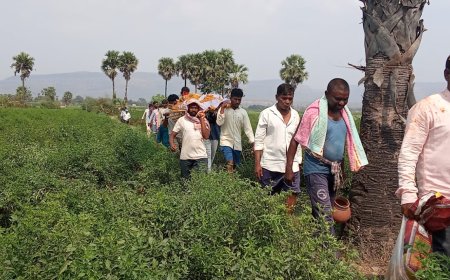 స్మశానానికి దారి కరువు