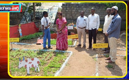 ప్రగతి స్కూల్ లో సైన్స్ ఫెయిర్ కార్యక్రమం నిర్వహణ