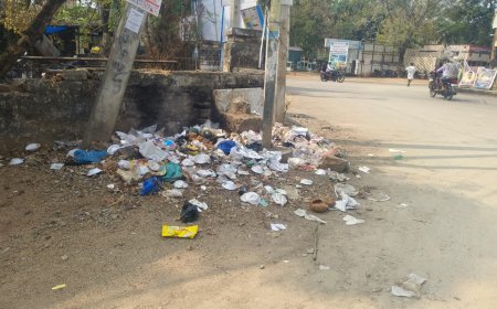 చెత్తను తీయని మున్సిపల్ సిబ్బంది