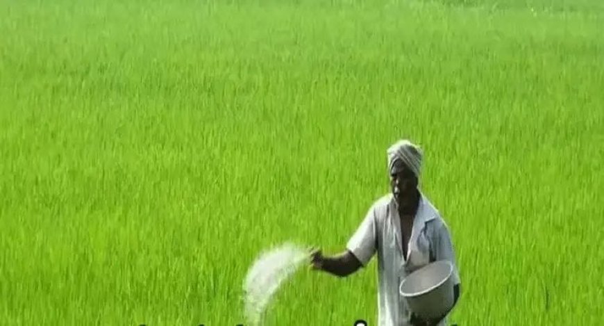 తెలంగాణ రైతులకు లోటు లేకుండా ఎరువులు.. కేంద్ర మంత్రి కీలక ప్రకటన
