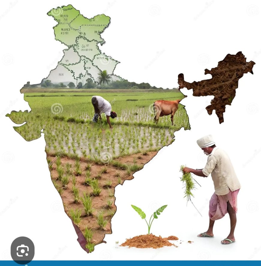 సరిపోను యూరియా అందక అన్నదాత హరిగోస