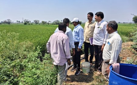 దేవాదుల ప్రాజెక్టు కోసం భూములను పరిశీలించిన ఆర్డిఓ